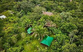 Tronco Tambopata Adventure