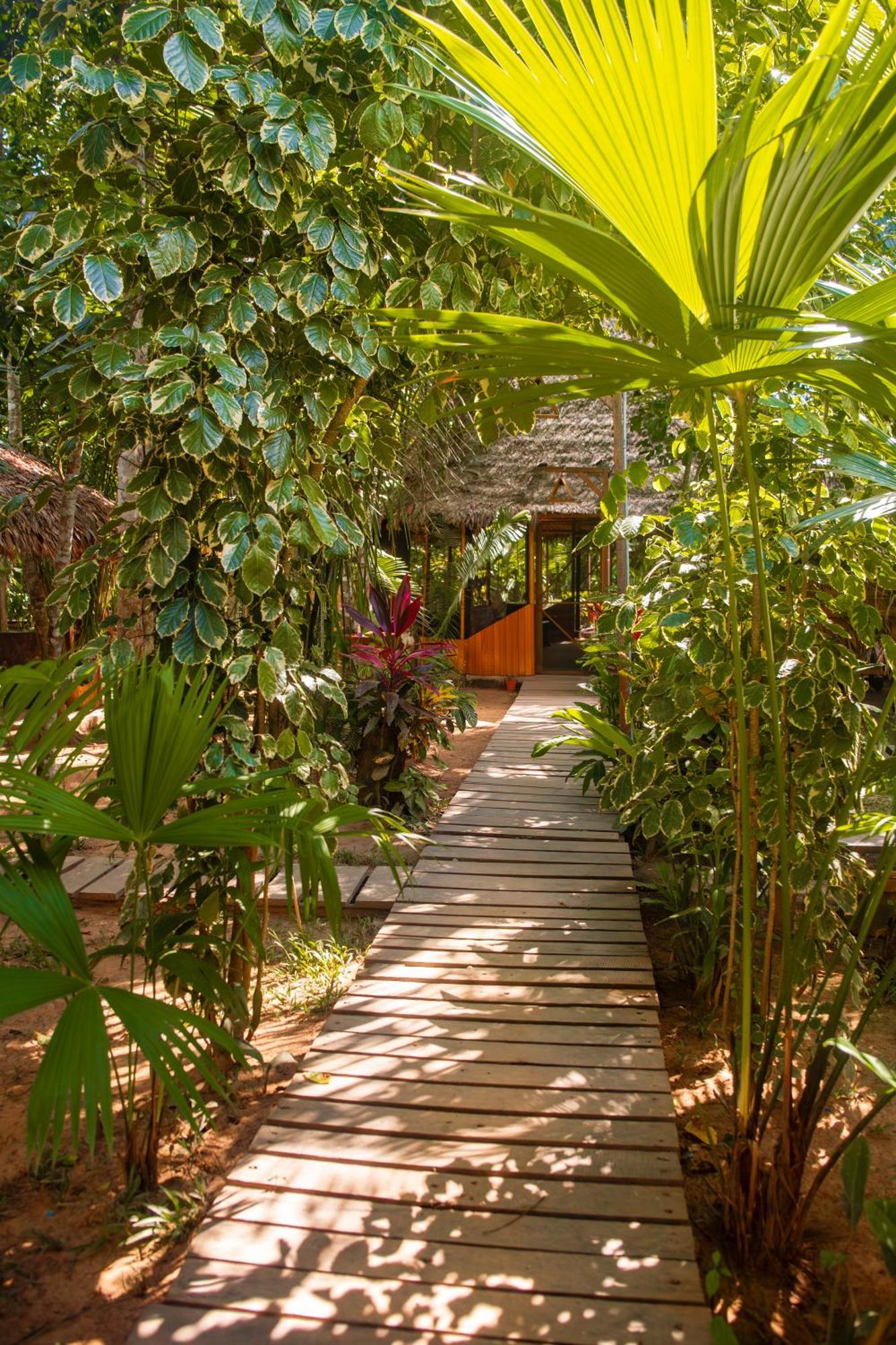 Tronco Tambopata Adventure Hotel Puerto Maldonado Exterior photo