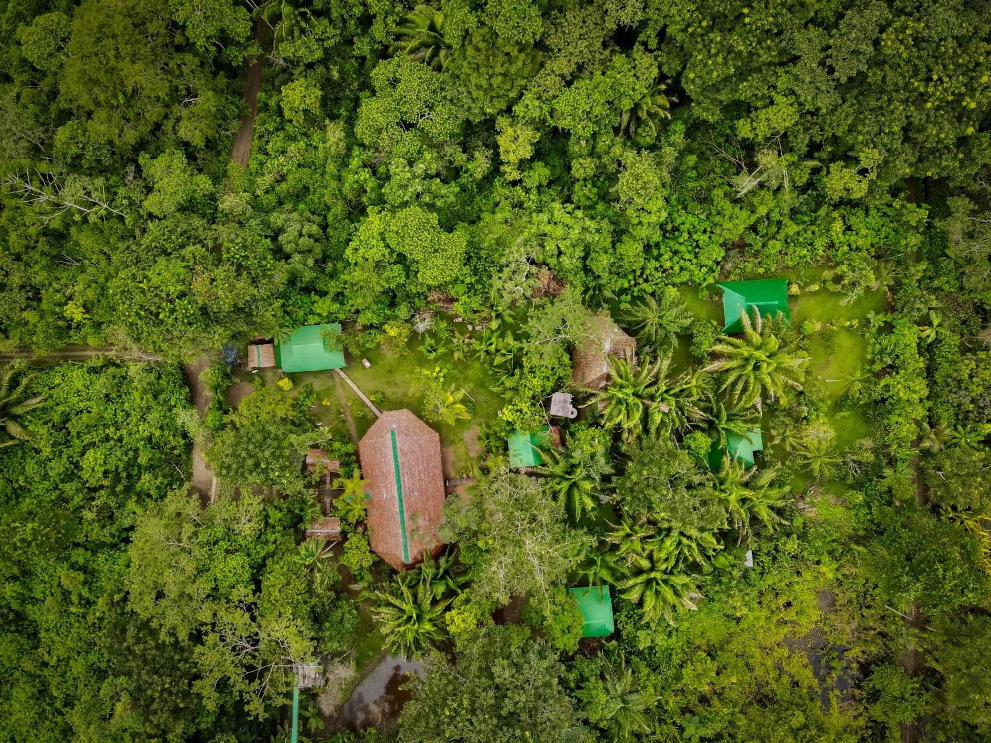 Tronco Tambopata Adventure Hotel Puerto Maldonado Exterior photo